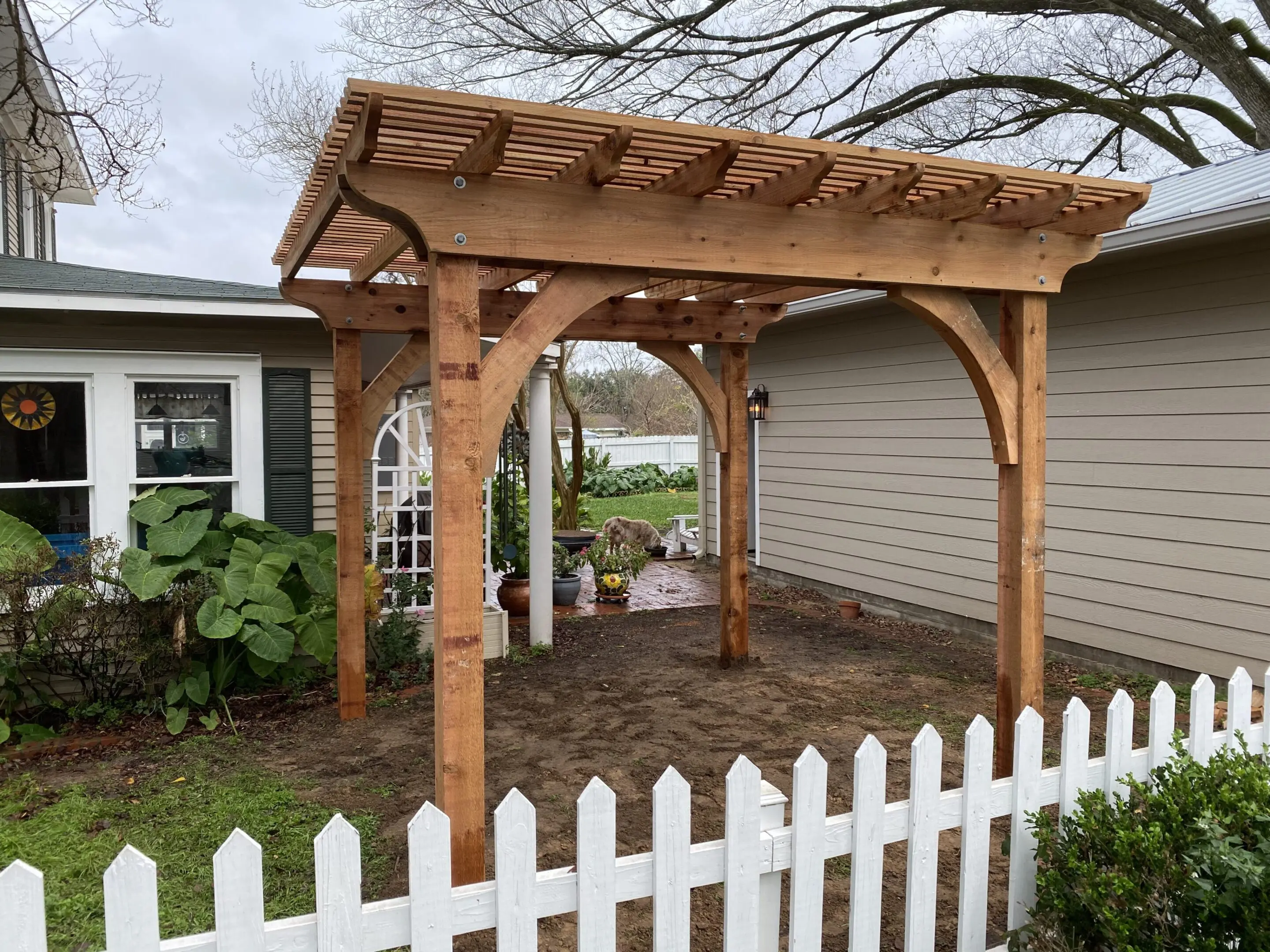 Newly built wooden pergola in a garden by a white picket fence.