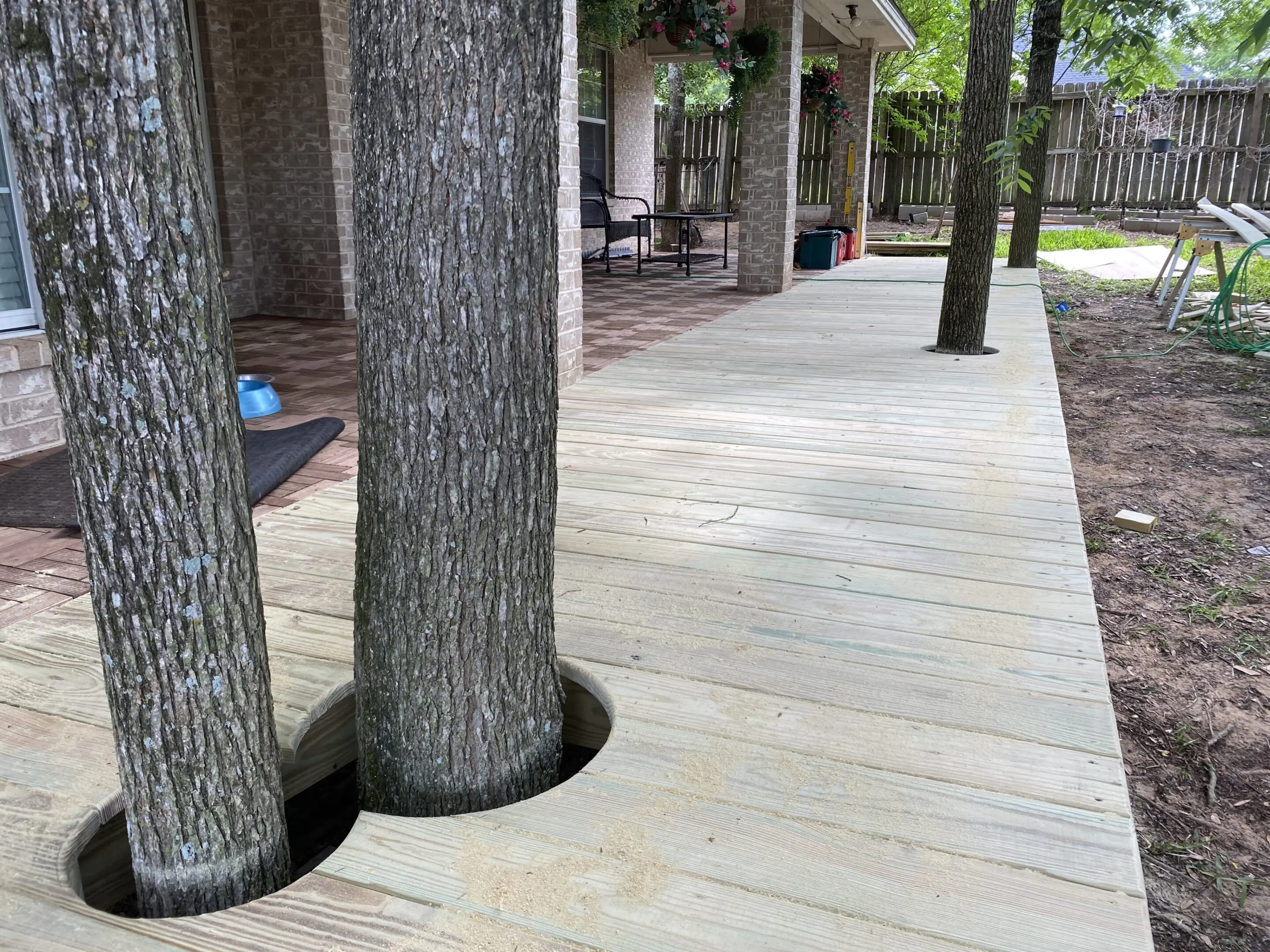 Wooden deck built around tree trunks with circular cutouts.